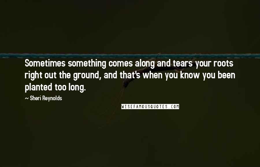 Sheri Reynolds Quotes: Sometimes something comes along and tears your roots right out the ground, and that's when you know you been planted too long.