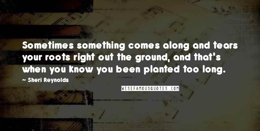 Sheri Reynolds Quotes: Sometimes something comes along and tears your roots right out the ground, and that's when you know you been planted too long.