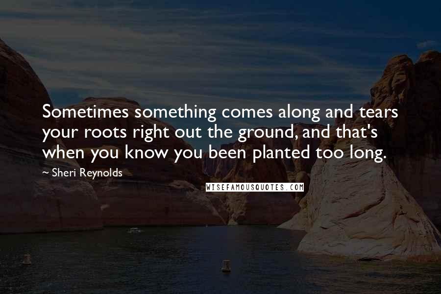 Sheri Reynolds Quotes: Sometimes something comes along and tears your roots right out the ground, and that's when you know you been planted too long.
