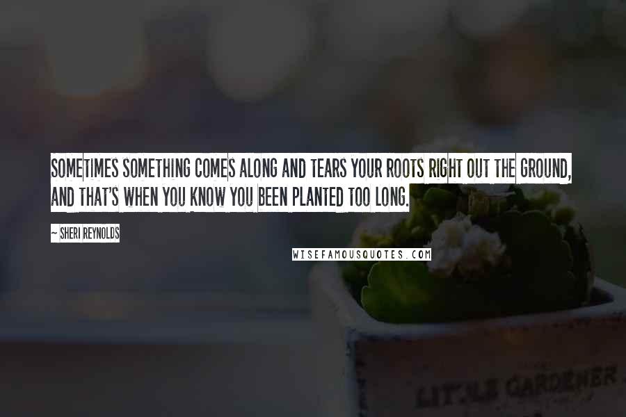 Sheri Reynolds Quotes: Sometimes something comes along and tears your roots right out the ground, and that's when you know you been planted too long.