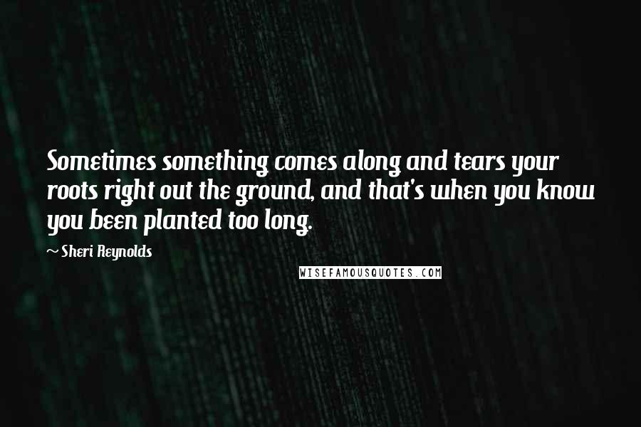 Sheri Reynolds Quotes: Sometimes something comes along and tears your roots right out the ground, and that's when you know you been planted too long.