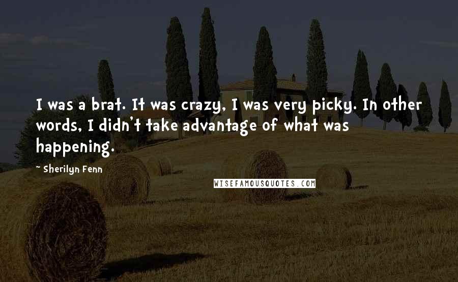 Sherilyn Fenn Quotes: I was a brat. It was crazy, I was very picky. In other words, I didn't take advantage of what was happening.