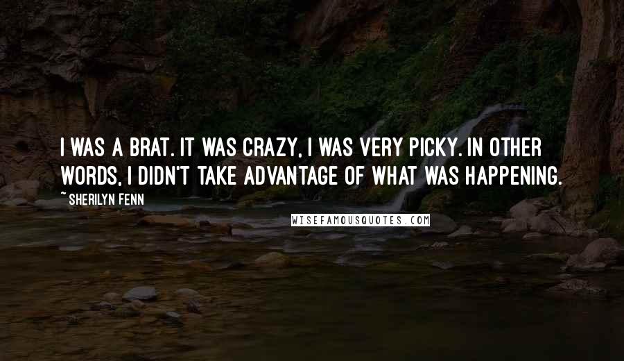 Sherilyn Fenn Quotes: I was a brat. It was crazy, I was very picky. In other words, I didn't take advantage of what was happening.