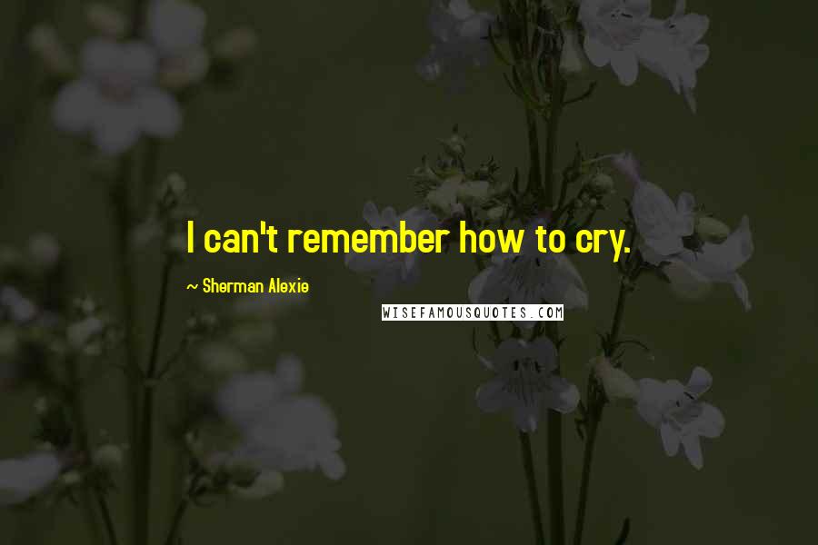 Sherman Alexie Quotes: I can't remember how to cry.