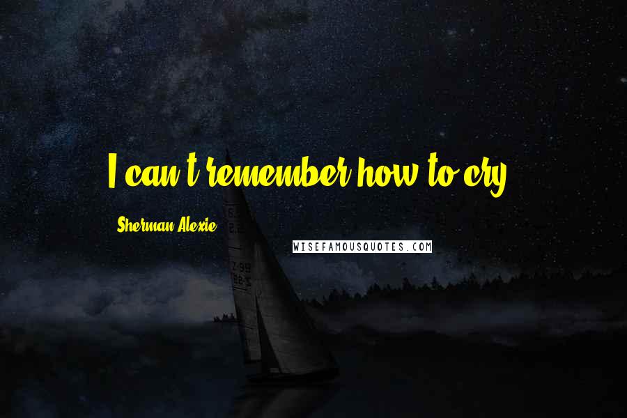 Sherman Alexie Quotes: I can't remember how to cry.