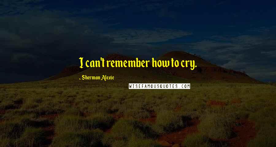 Sherman Alexie Quotes: I can't remember how to cry.