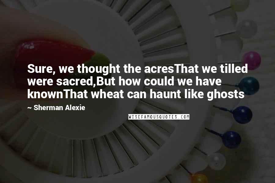 Sherman Alexie Quotes: Sure, we thought the acresThat we tilled were sacred,But how could we have knownThat wheat can haunt like ghosts