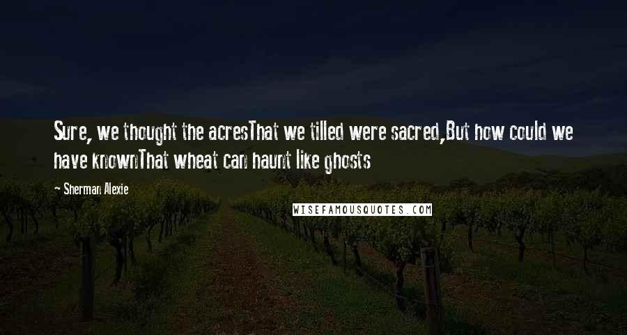 Sherman Alexie Quotes: Sure, we thought the acresThat we tilled were sacred,But how could we have knownThat wheat can haunt like ghosts