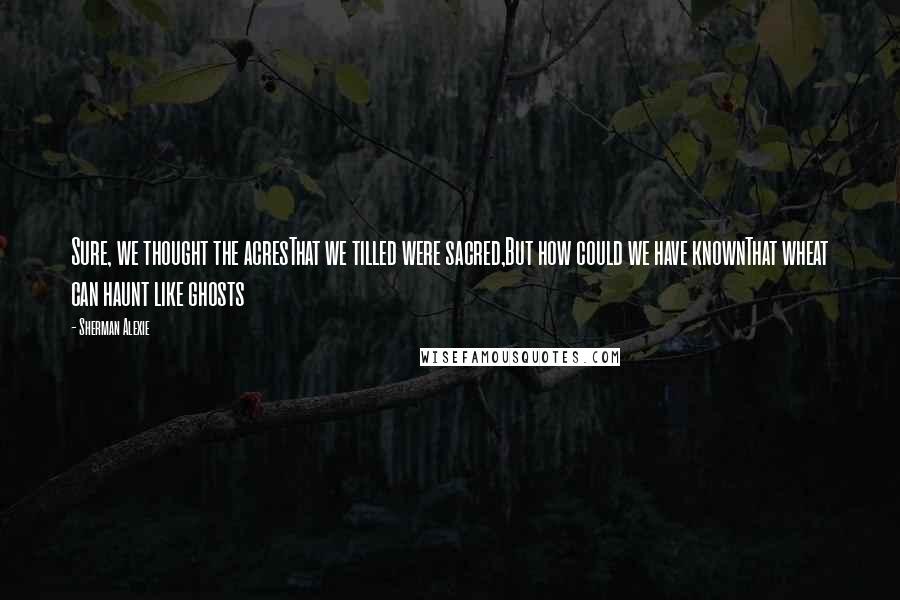 Sherman Alexie Quotes: Sure, we thought the acresThat we tilled were sacred,But how could we have knownThat wheat can haunt like ghosts