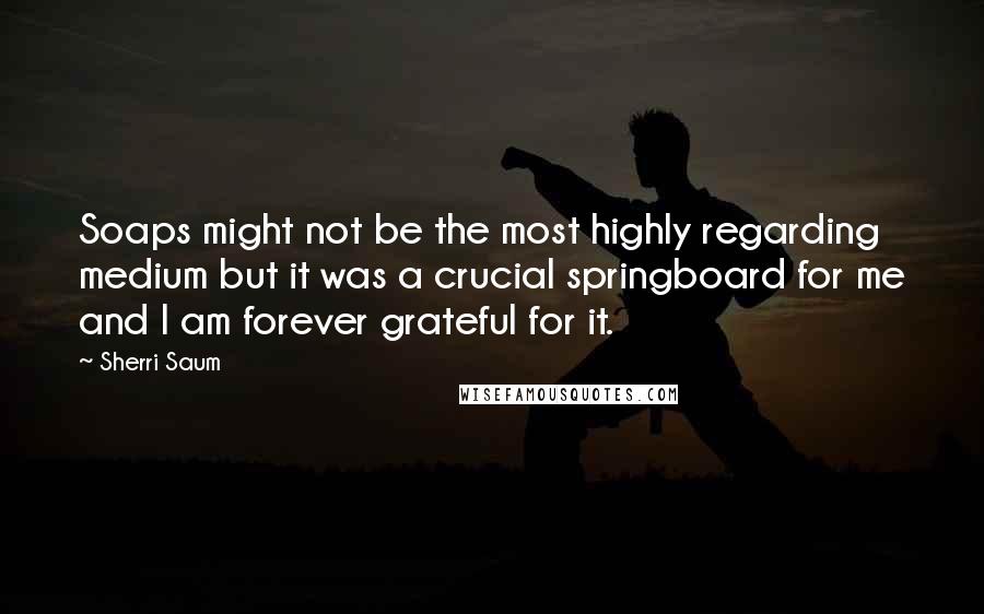 Sherri Saum Quotes: Soaps might not be the most highly regarding medium but it was a crucial springboard for me and I am forever grateful for it.