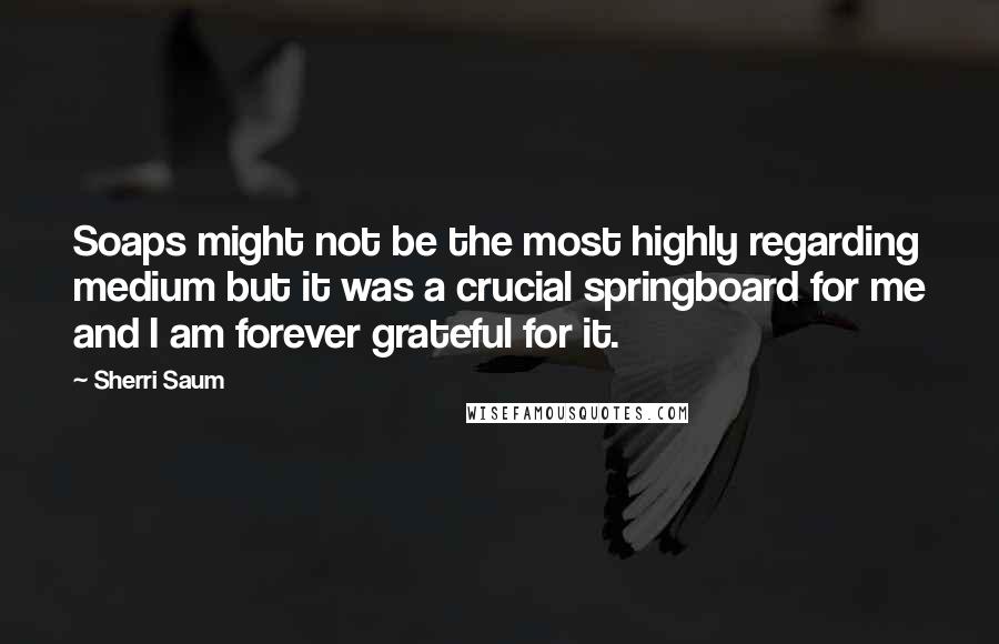 Sherri Saum Quotes: Soaps might not be the most highly regarding medium but it was a crucial springboard for me and I am forever grateful for it.