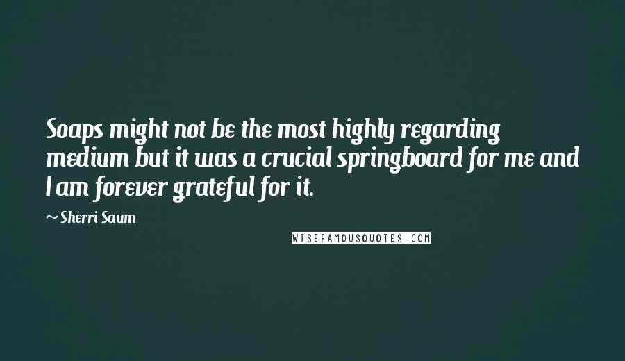 Sherri Saum Quotes: Soaps might not be the most highly regarding medium but it was a crucial springboard for me and I am forever grateful for it.