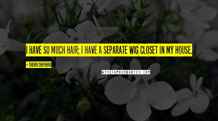 Sherri Shepherd Quotes: I have so much hair; I have a separate wig closet in my house.
