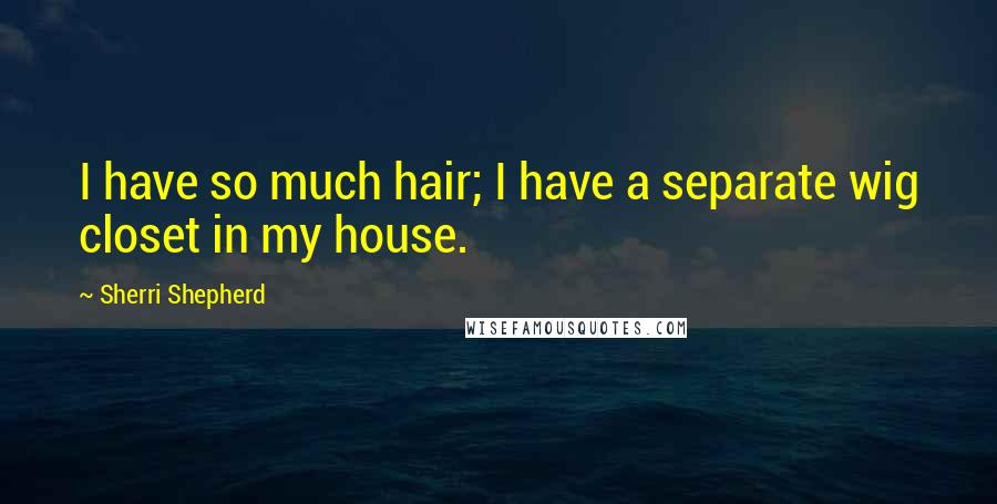 Sherri Shepherd Quotes: I have so much hair; I have a separate wig closet in my house.