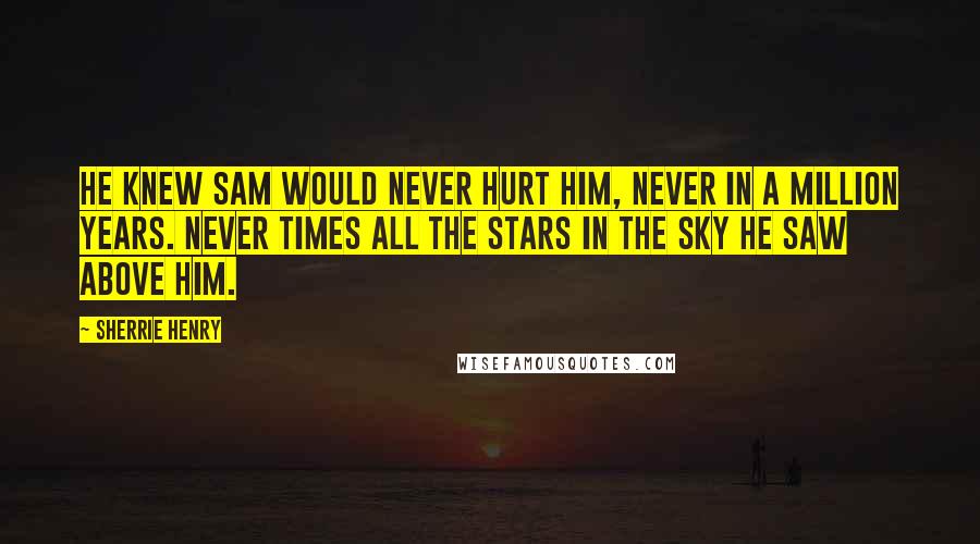 Sherrie Henry Quotes: He knew Sam would never hurt him, never in a million years. Never times all the stars in the sky he saw above him.