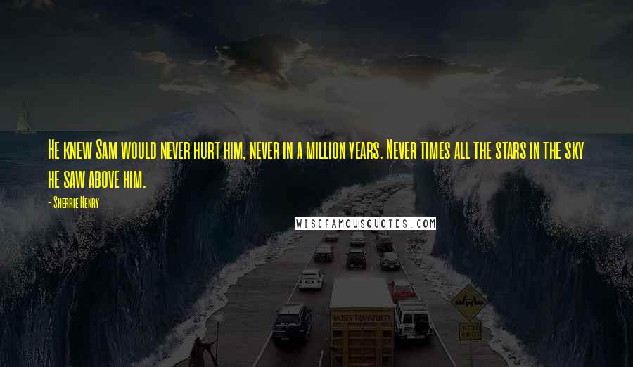 Sherrie Henry Quotes: He knew Sam would never hurt him, never in a million years. Never times all the stars in the sky he saw above him.