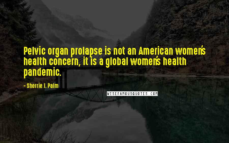 Sherrie J. Palm Quotes: Pelvic organ prolapse is not an American women's health concern, it is a global women's health pandemic.