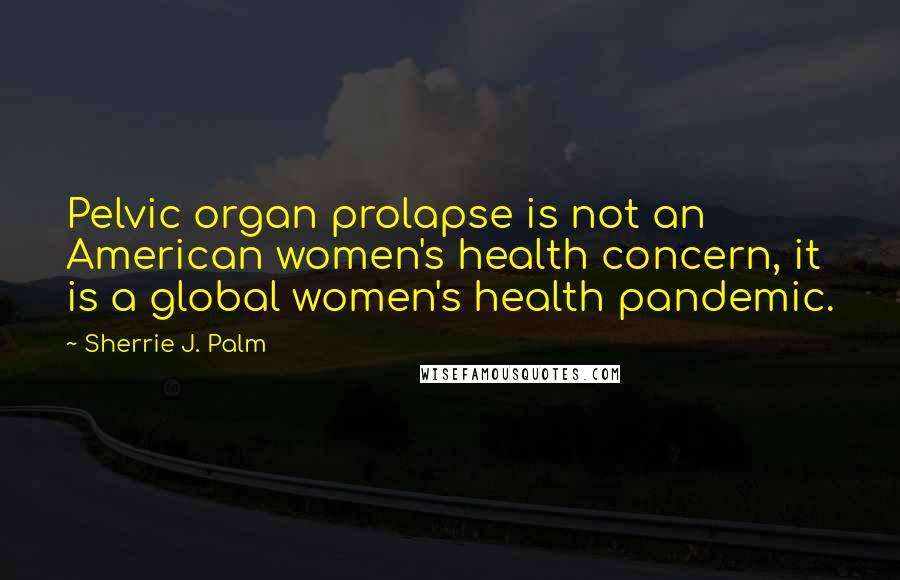 Sherrie J. Palm Quotes: Pelvic organ prolapse is not an American women's health concern, it is a global women's health pandemic.