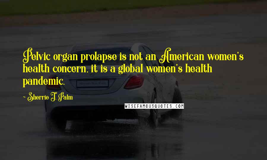 Sherrie J. Palm Quotes: Pelvic organ prolapse is not an American women's health concern, it is a global women's health pandemic.