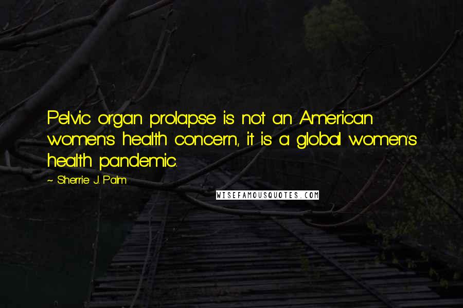 Sherrie J. Palm Quotes: Pelvic organ prolapse is not an American women's health concern, it is a global women's health pandemic.