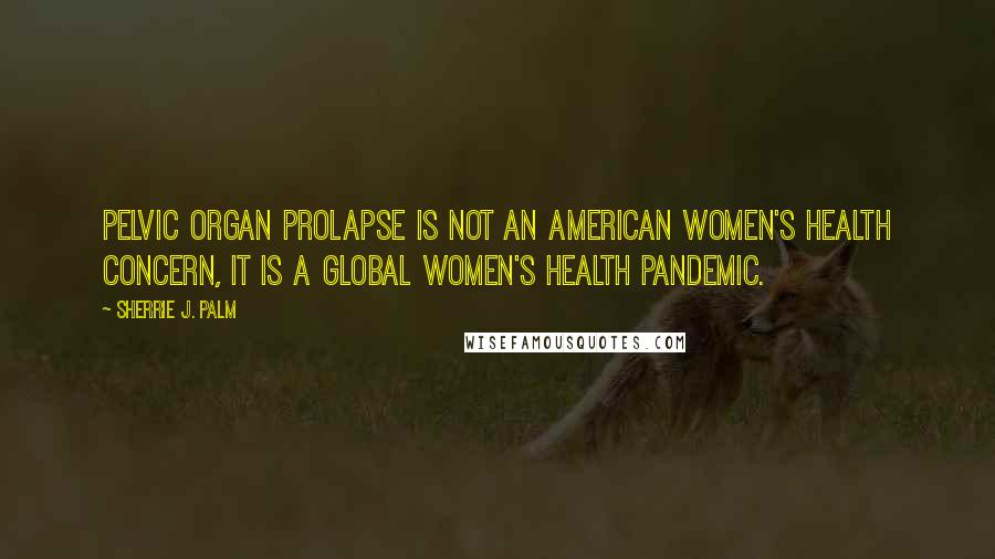 Sherrie J. Palm Quotes: Pelvic organ prolapse is not an American women's health concern, it is a global women's health pandemic.