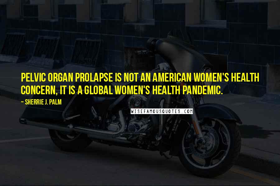 Sherrie J. Palm Quotes: Pelvic organ prolapse is not an American women's health concern, it is a global women's health pandemic.