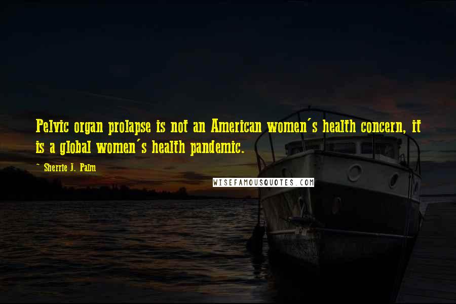 Sherrie J. Palm Quotes: Pelvic organ prolapse is not an American women's health concern, it is a global women's health pandemic.