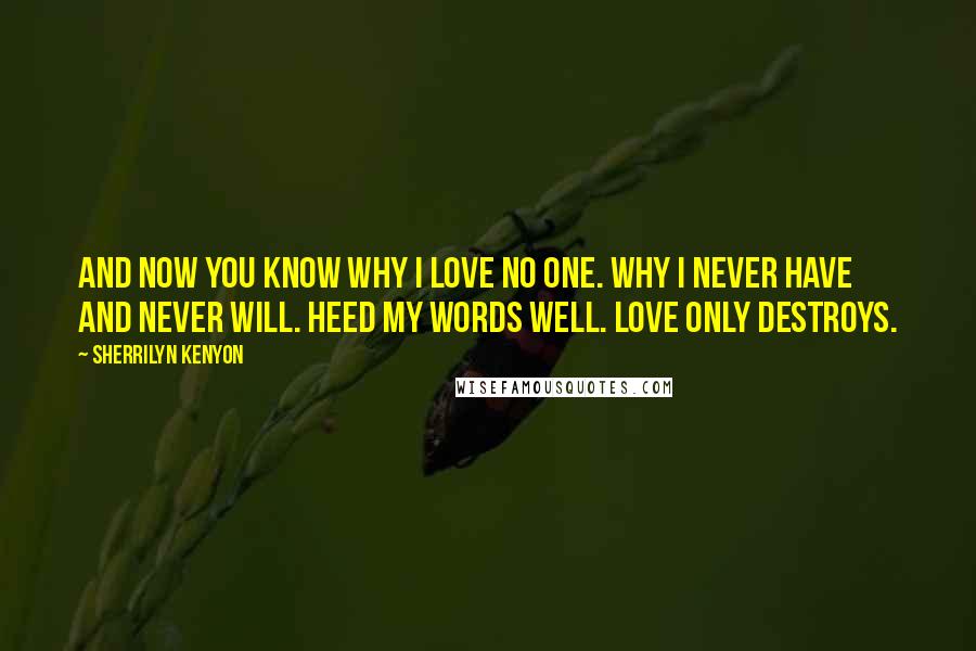 Sherrilyn Kenyon Quotes: And now you know why I love no one. Why I never have and never will. Heed my words well. Love only destroys.