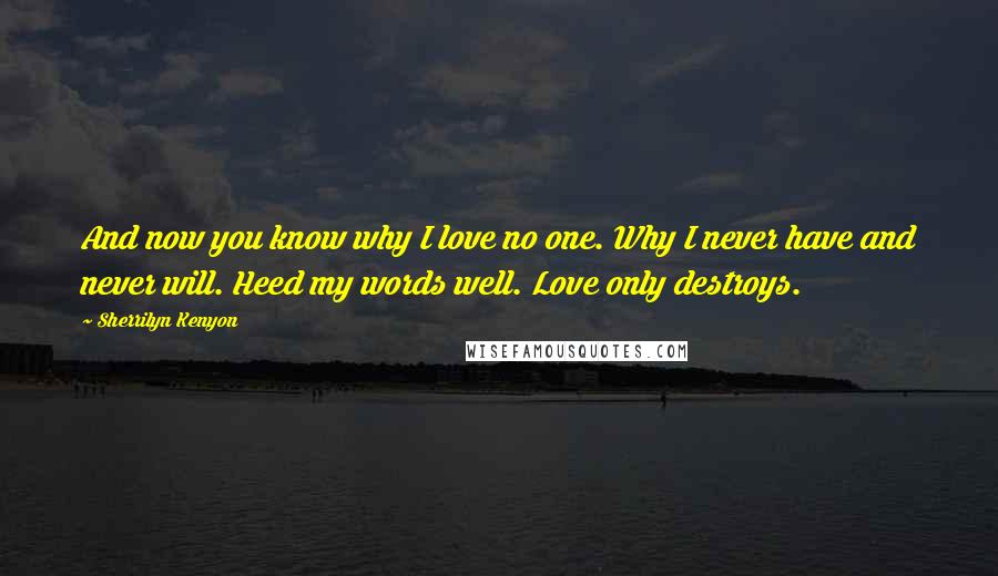 Sherrilyn Kenyon Quotes: And now you know why I love no one. Why I never have and never will. Heed my words well. Love only destroys.