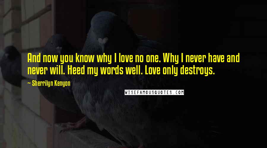 Sherrilyn Kenyon Quotes: And now you know why I love no one. Why I never have and never will. Heed my words well. Love only destroys.