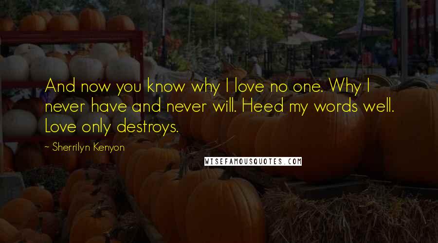 Sherrilyn Kenyon Quotes: And now you know why I love no one. Why I never have and never will. Heed my words well. Love only destroys.