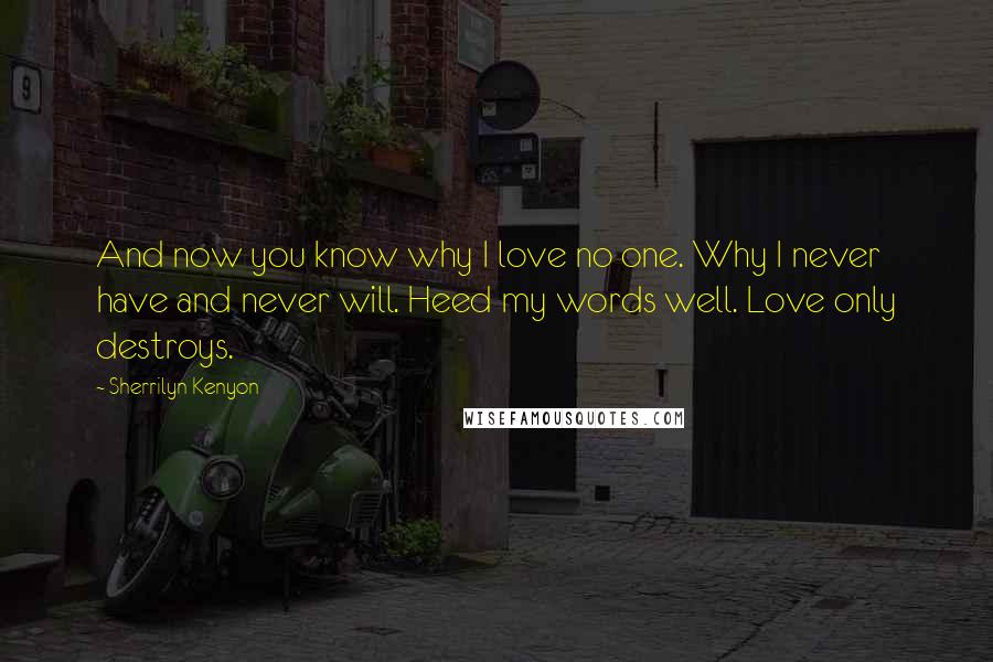 Sherrilyn Kenyon Quotes: And now you know why I love no one. Why I never have and never will. Heed my words well. Love only destroys.