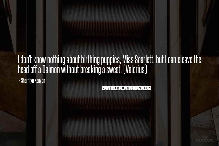 Sherrilyn Kenyon Quotes: I don't know nothing about birthing puppies, Miss Scarlett, but I can cleave the head off a Daimon without breaking a sweat. (Valerius)