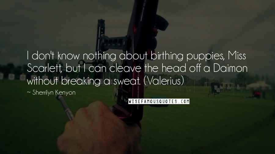 Sherrilyn Kenyon Quotes: I don't know nothing about birthing puppies, Miss Scarlett, but I can cleave the head off a Daimon without breaking a sweat. (Valerius)