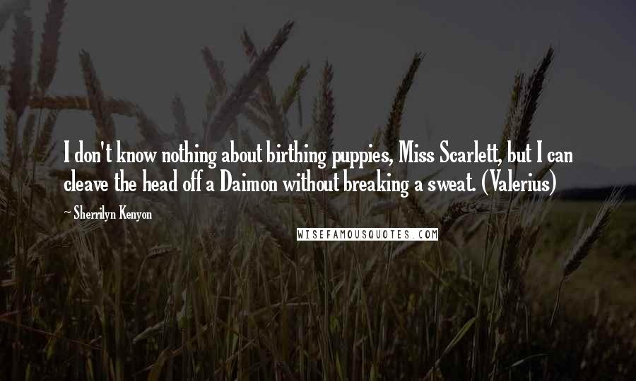 Sherrilyn Kenyon Quotes: I don't know nothing about birthing puppies, Miss Scarlett, but I can cleave the head off a Daimon without breaking a sweat. (Valerius)