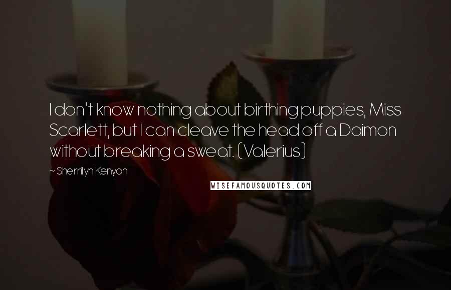 Sherrilyn Kenyon Quotes: I don't know nothing about birthing puppies, Miss Scarlett, but I can cleave the head off a Daimon without breaking a sweat. (Valerius)