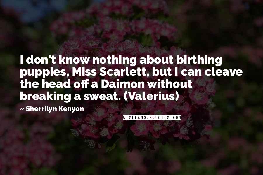 Sherrilyn Kenyon Quotes: I don't know nothing about birthing puppies, Miss Scarlett, but I can cleave the head off a Daimon without breaking a sweat. (Valerius)