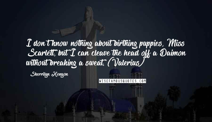 Sherrilyn Kenyon Quotes: I don't know nothing about birthing puppies, Miss Scarlett, but I can cleave the head off a Daimon without breaking a sweat. (Valerius)