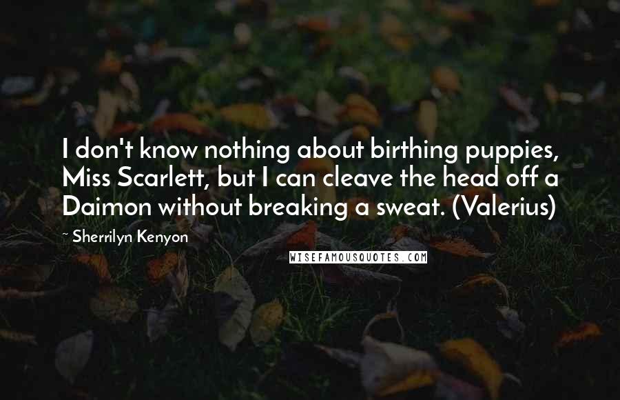 Sherrilyn Kenyon Quotes: I don't know nothing about birthing puppies, Miss Scarlett, but I can cleave the head off a Daimon without breaking a sweat. (Valerius)