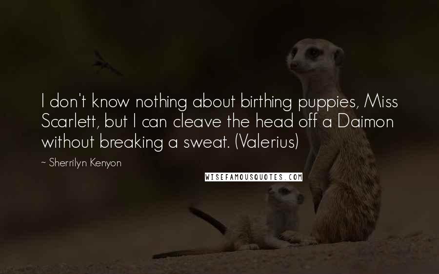 Sherrilyn Kenyon Quotes: I don't know nothing about birthing puppies, Miss Scarlett, but I can cleave the head off a Daimon without breaking a sweat. (Valerius)