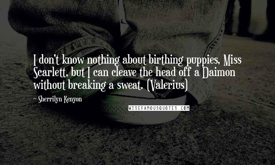 Sherrilyn Kenyon Quotes: I don't know nothing about birthing puppies, Miss Scarlett, but I can cleave the head off a Daimon without breaking a sweat. (Valerius)