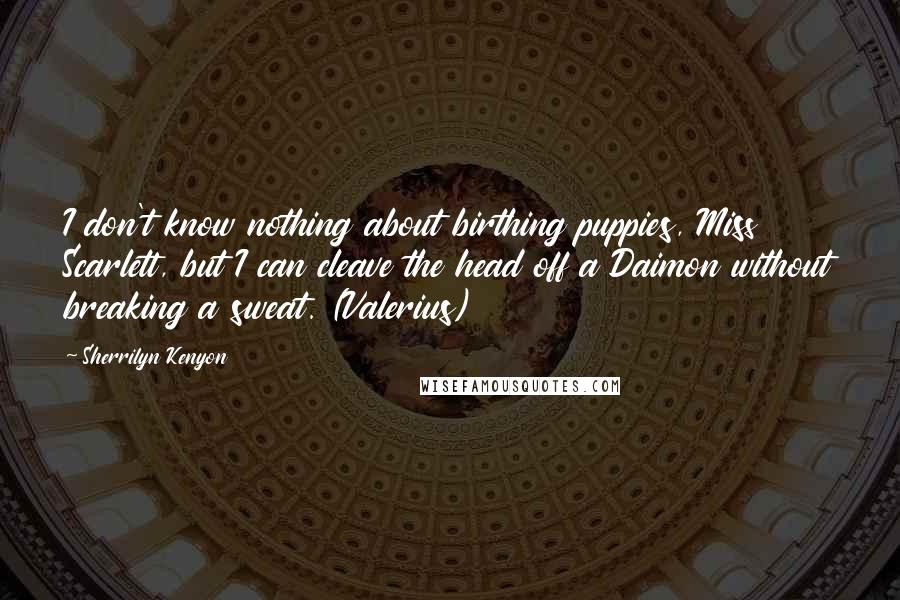 Sherrilyn Kenyon Quotes: I don't know nothing about birthing puppies, Miss Scarlett, but I can cleave the head off a Daimon without breaking a sweat. (Valerius)