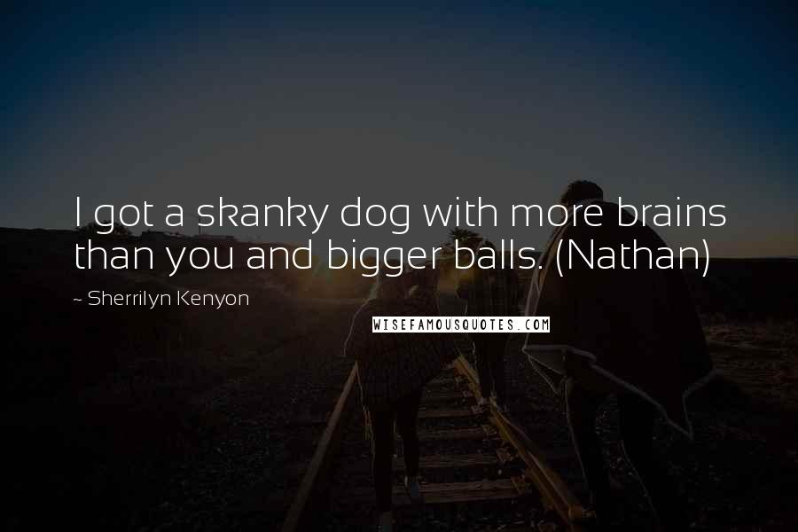 Sherrilyn Kenyon Quotes: I got a skanky dog with more brains than you and bigger balls. (Nathan)