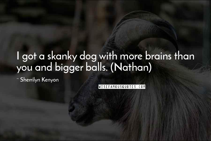 Sherrilyn Kenyon Quotes: I got a skanky dog with more brains than you and bigger balls. (Nathan)