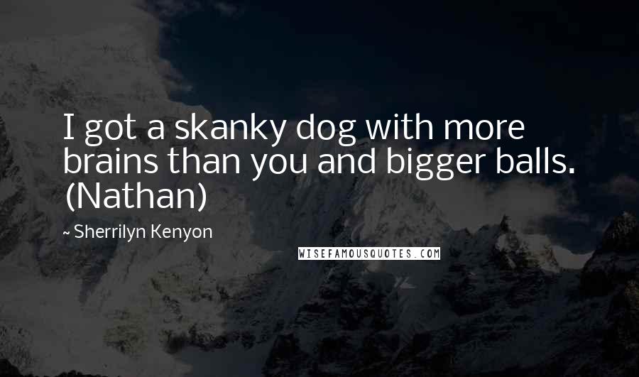 Sherrilyn Kenyon Quotes: I got a skanky dog with more brains than you and bigger balls. (Nathan)