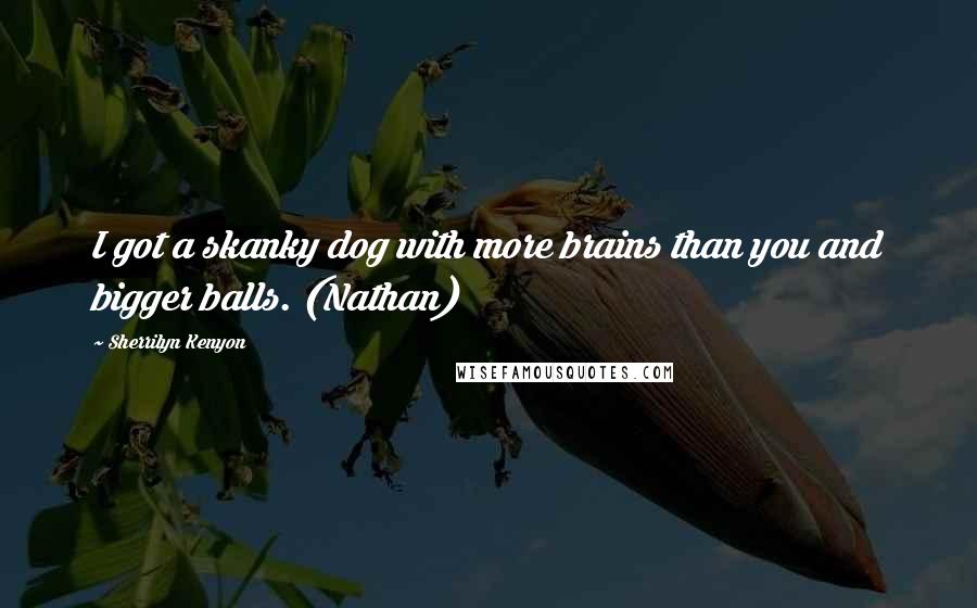 Sherrilyn Kenyon Quotes: I got a skanky dog with more brains than you and bigger balls. (Nathan)