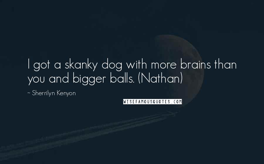 Sherrilyn Kenyon Quotes: I got a skanky dog with more brains than you and bigger balls. (Nathan)