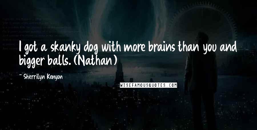 Sherrilyn Kenyon Quotes: I got a skanky dog with more brains than you and bigger balls. (Nathan)