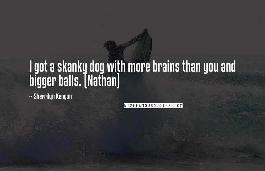 Sherrilyn Kenyon Quotes: I got a skanky dog with more brains than you and bigger balls. (Nathan)