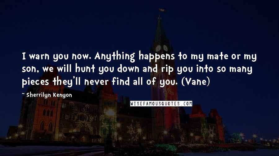 Sherrilyn Kenyon Quotes: I warn you now. Anything happens to my mate or my son, we will hunt you down and rip you into so many pieces they'll never find all of you. (Vane)